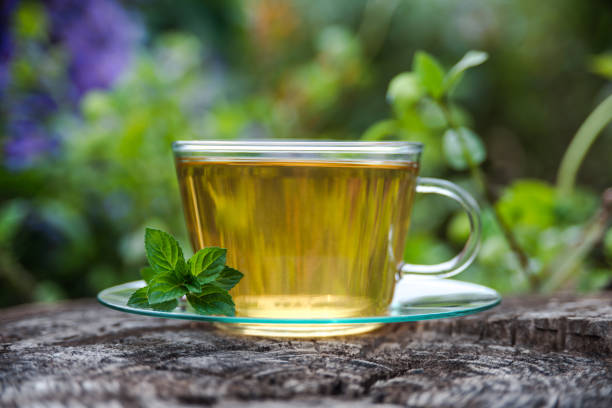تصویر 3 از خرید و قیمت عرق نعناع اصل + فروش عمده