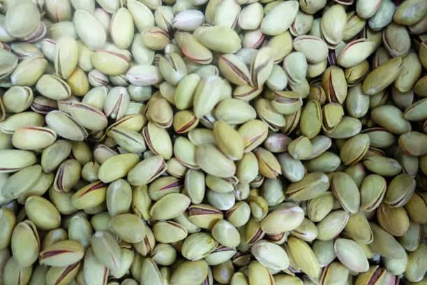 تصویر 1 از خرید و قیمت پسته اکبری تازه + فروش صادراتی