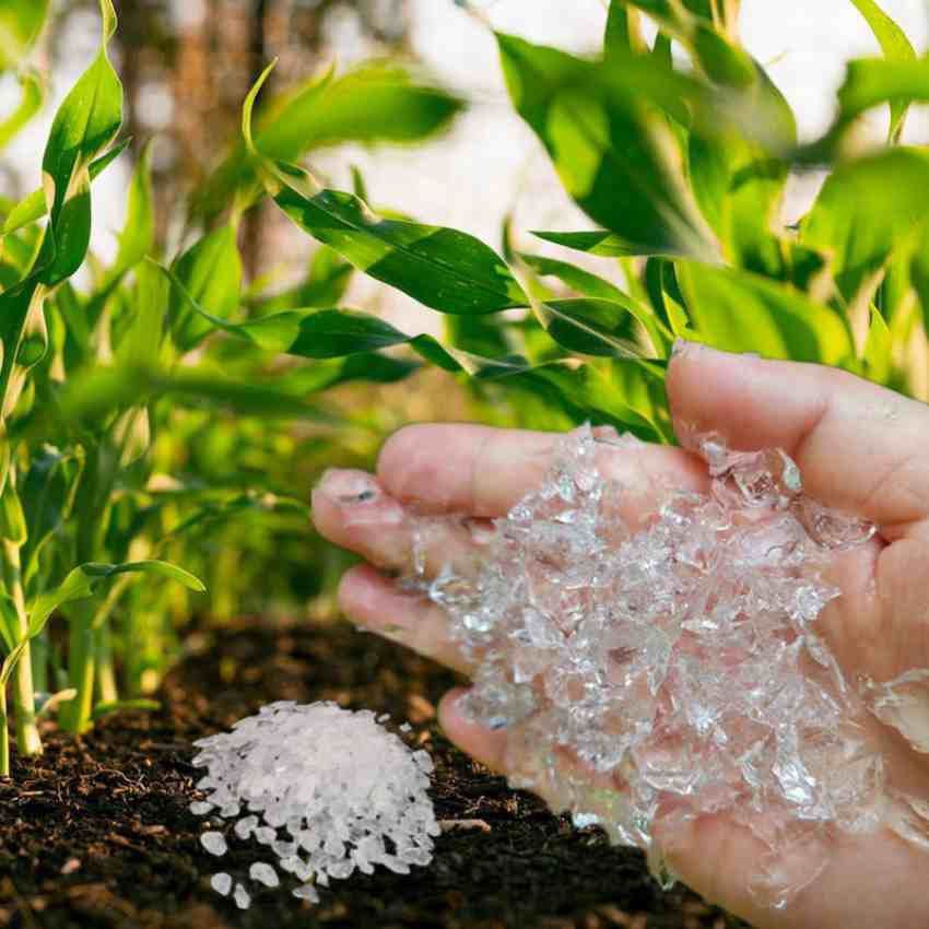 سفارش خاک ژله‌ای انقلابی در حفظ آب و تغذیه گیاه