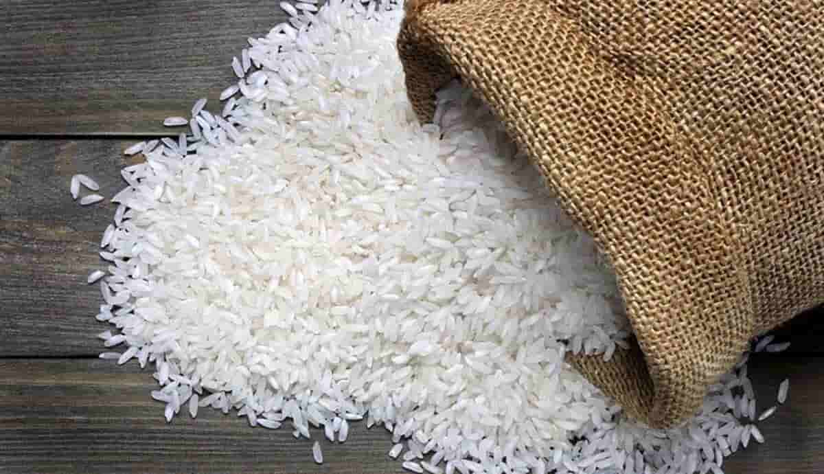 خرید برنج هاشمی شمال + قیمت فروش استثنایی