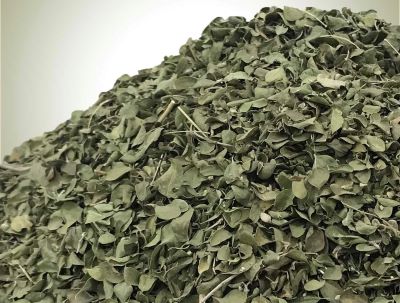 تصویر 1 از خرید عمده آویشن شیرازی برگ صادراتی با کیفیت ممتاز