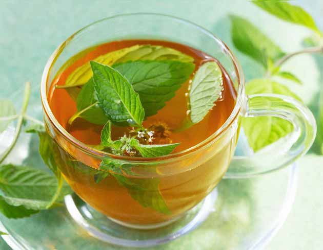تصویر 3 از فروش ویژه دمنوش نعناع فلفلی ارگانیک + طعم خنک