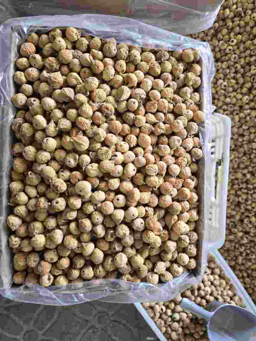 تصویر 3 از خرید اینترنتی انجیر خشک ارگانیک + فروش استثنایی
