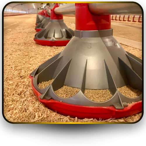 تصویر 1 از فروش ویژه بشقاب دانخوری مرغ نیپل