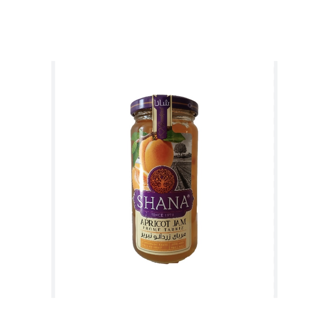 خرید و قیمت مربا زردآلو شانا ۳۰۵ گرمی + فروش صادراتی