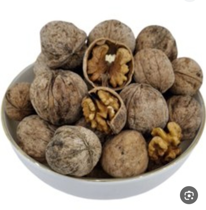 خرید عمده از باغدار تا بسته شما گردوی کاغذی اذرشهر + فروش عمده