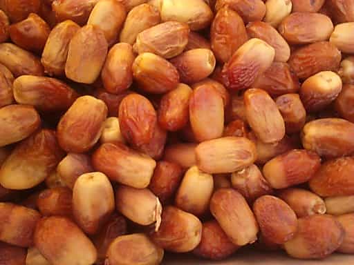 تصویر 5 از صادرات خرما زاهدی درجه یک به پاکستان