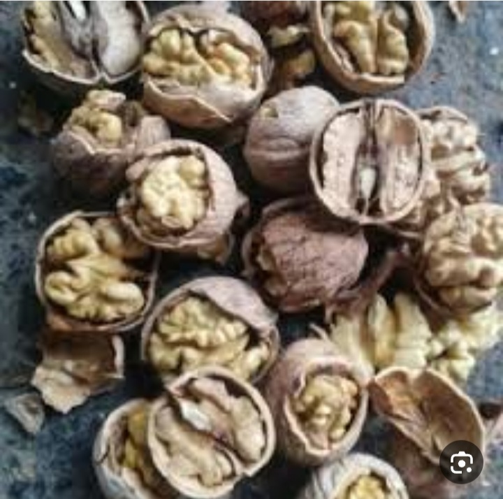 فروش عمده گردوی کاغذی مرند + خریده عمده یک تجربه به یاد ماندنی