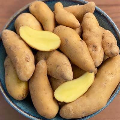 تصویر 2 از خرید سیب زمینی استانبولی + قیمت فروش استثنایی