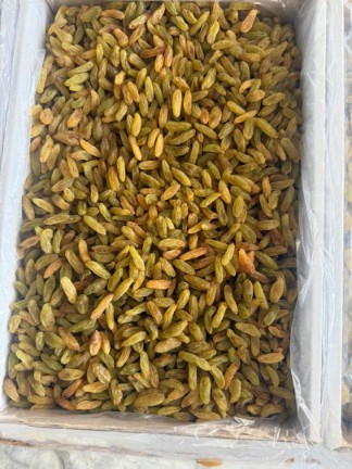 تصویر 1 از قیمت کشمش سبز + فروش ویژه