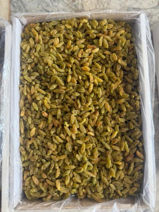 تصویر 1 از فروش ویژه کشمش سبز + خرید به صرفه