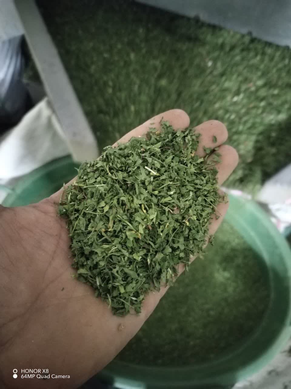 تصویر 1 از فروش سبزی نعناع خشک بلغور + قیمت خرید به صرفه