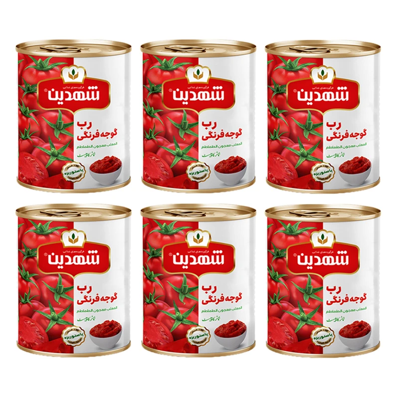تصویر 2 از قیمت خرید رب گوجه شهدین 800 گرمی بسته 6 عددی + فروش ویژه