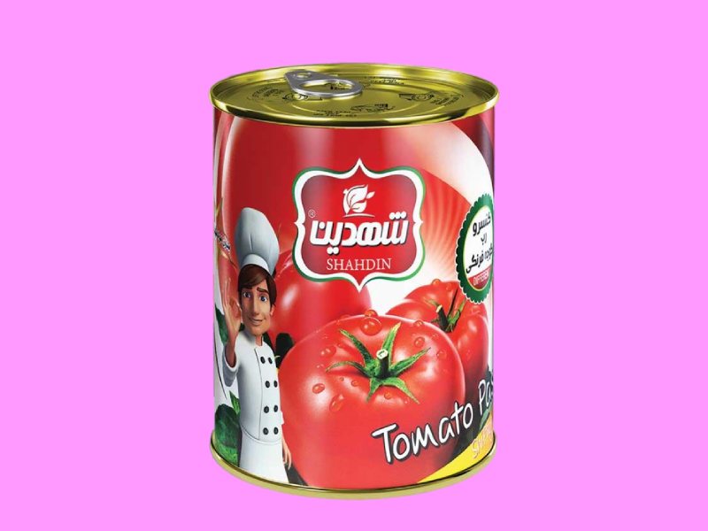 تصویر 4 از قیمت خرید رب گوجه شهدین 800 گرمی بسته 6 عددی + فروش ویژه
