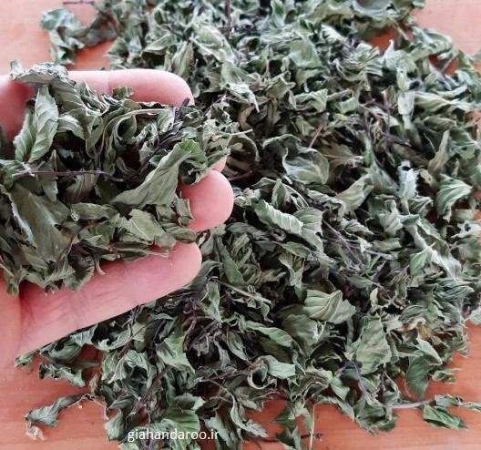 فروش نعناع فلفلی برگ صادراتی با عطر قوی و کیفیت ممتاز
