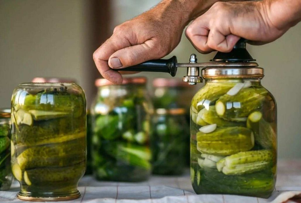قیمت و نحوه خرید + خیارشور ساندویچی