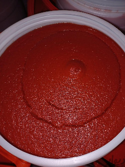 تصویر 2 از خرید و قیمت رب گوجه‌ فرنگی اسپتیک ویژه صادرات + عمده