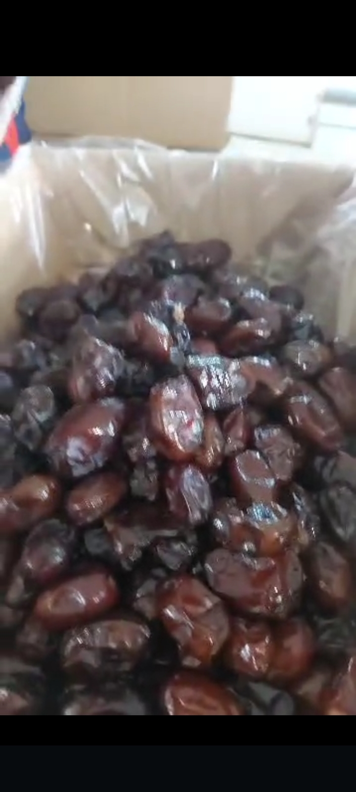 تصویر 1 از خرما کبکاب درجه یک قیمت کف بازار + فروش عمده