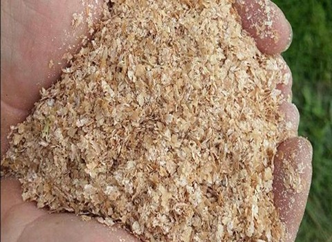 تصویر 3 از پخش عمده سبوس گندم  + بهترین قیمت