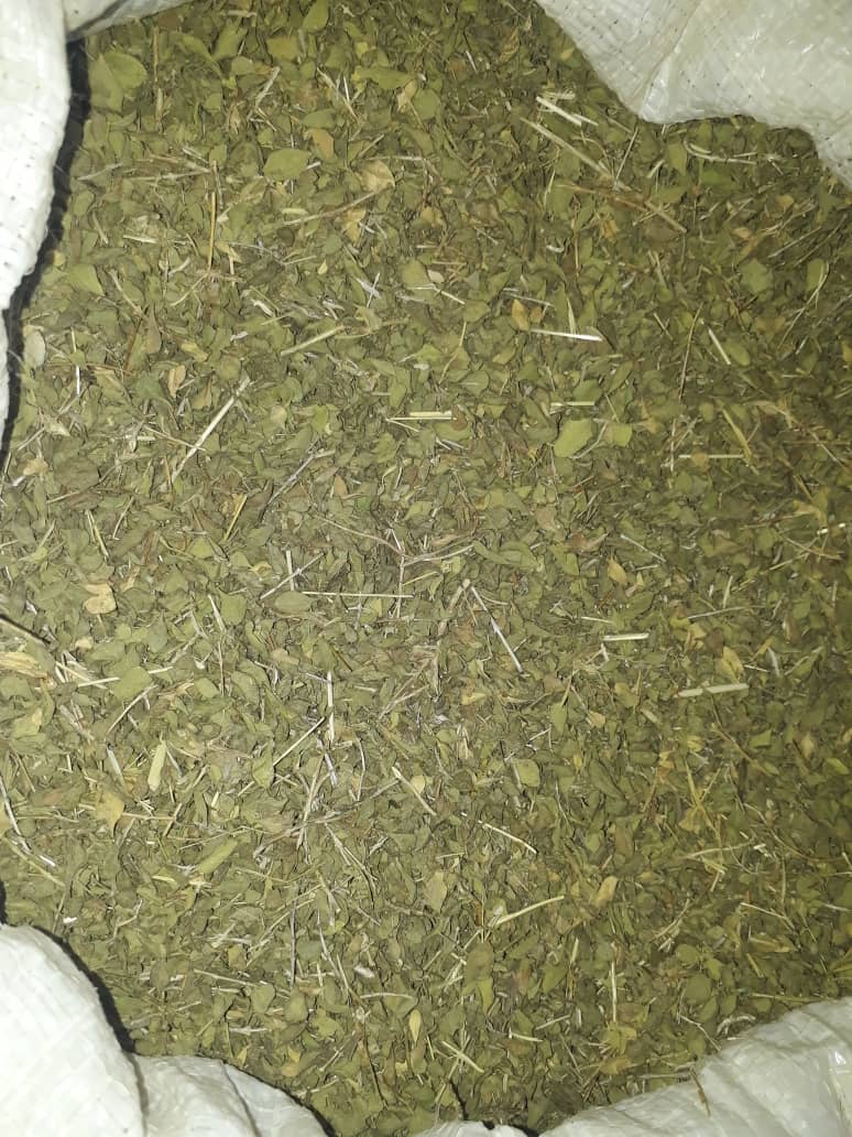 تصویر 4 از فروش عمده آویشن باغی برگ صادراتی با عطر طبیعی و کیفیت ممتاز