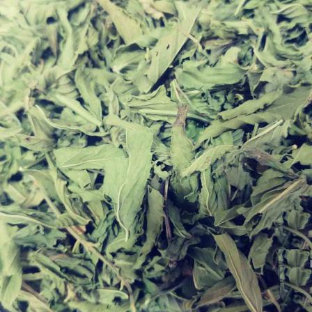 تصویر 1 از قیمت فروش عمده نعناع فلفلی برگ صادراتی با عطر قوی و کیفیت ممتاز