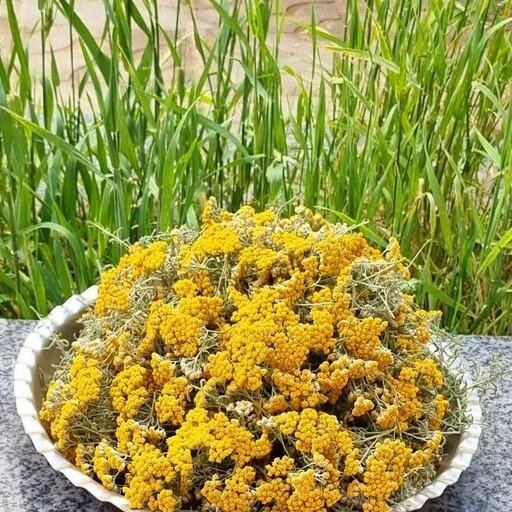 بومادران خشک