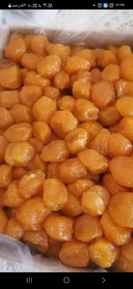 تصویر 1 از خرید آلو شوقان + فروش عمده