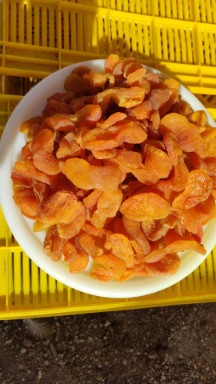 تصویر 1 از خرید برگه زردآلو + قيمت مناسب
