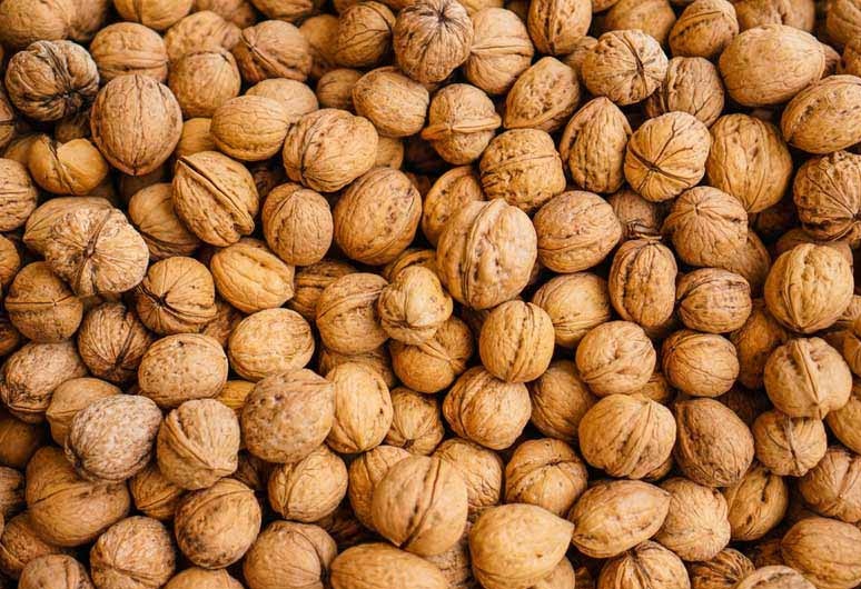 تصویر 4 از خرید و قیمت عمده گردو با پوست کاغذی ممتاز مراغه مستقیم از کشاورز + با قیمت مناسب