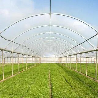 تصویر 3 از خرید اینترنتی نایلون گلخانه یو وی‌ دار + بدون واسطه و ارزان