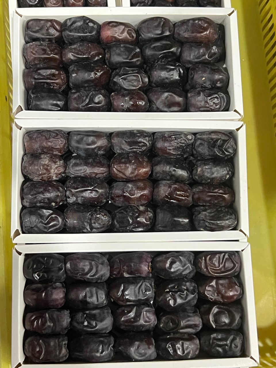 تصویر 8 از فروش خرمای مضافتی رستم‌ آباد بم + فروش