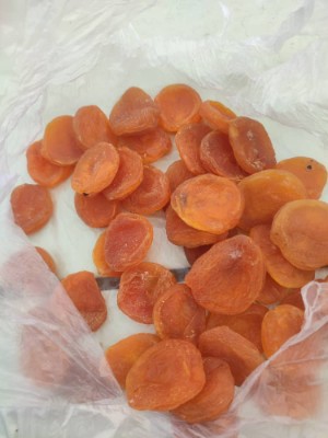 تصویر 1 از خرید امن قیصی زردآلو + قيمت رقابتی