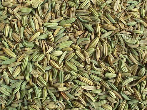 عرضه محدود زیره سبز ممتاز فرصت همکاری مستقیم با تولید کنندگان بومی