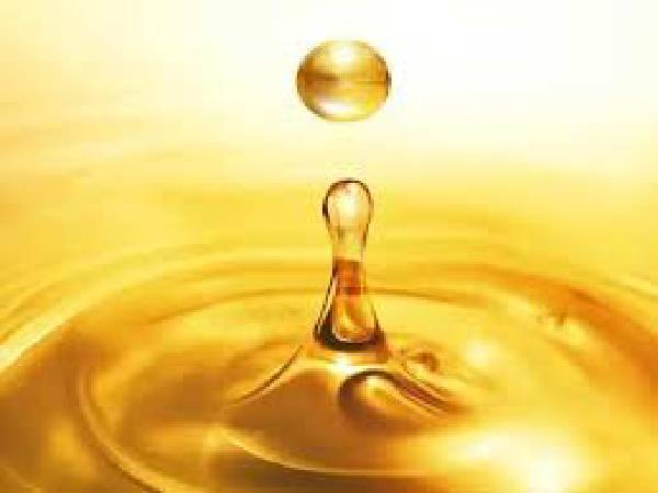خرید روغن گیاهی