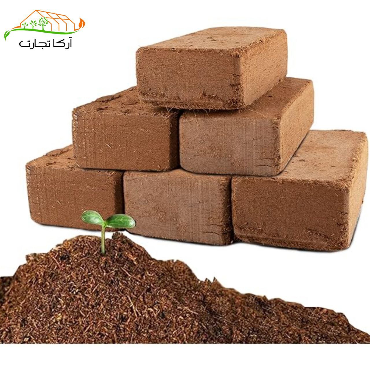 تصویر 5 از خرید اینترنتی کوکوپیت و پیت ماس آتلانتیس + قیمت رقابتی