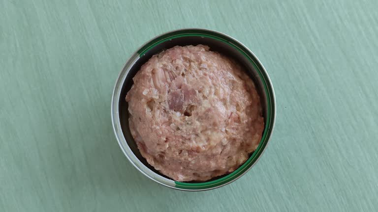 تصویر 4 از خرید و قیمت کنسرو گوشت گوسفندی + فروش عمده