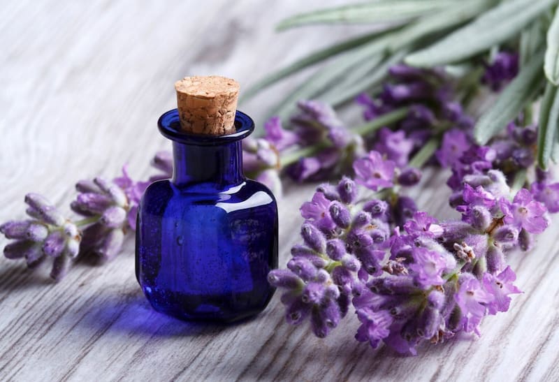 فروش اسانس اسطوخودوس ( لاوندر ) طبیعی گرید A