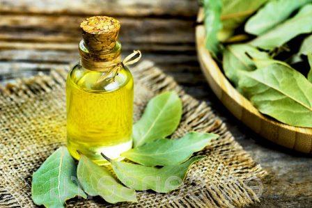 تصویر 1 از فروش اسانس برگ بو طبیعی گرید A