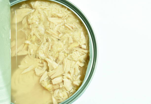 تصویر 4 از خرید کنسرو مرغ در روغن + قیمت فروش استثنایی