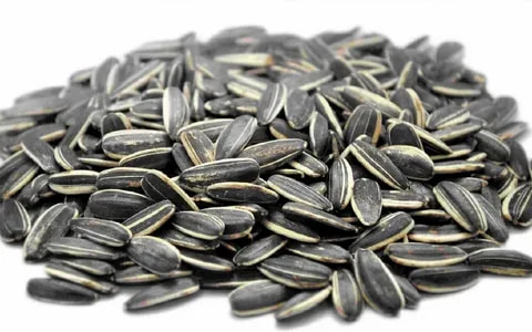 تصویر 3 از قیمت خرید تخمه آفتابگردان اعلا + فروش ویژه