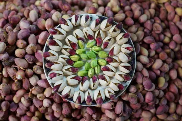تصویر 4 از پسته اکبری زعفرانی + عطر فوق‌ العاده