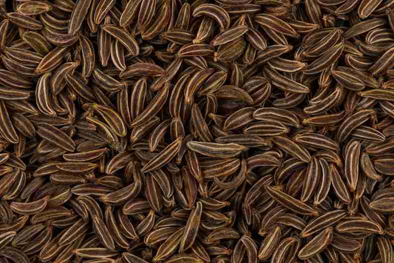 تصویر 2 از قیمت خرید زیره خشک + فروش ویژه