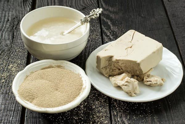 تصویر 3 از خرید و قیمت خمیر مایه خشک + فروش عمده