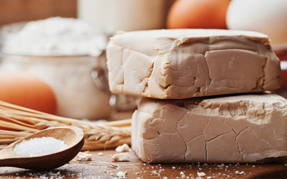خرید و قیمت خمیر مایه فشرده + فروش عمده
