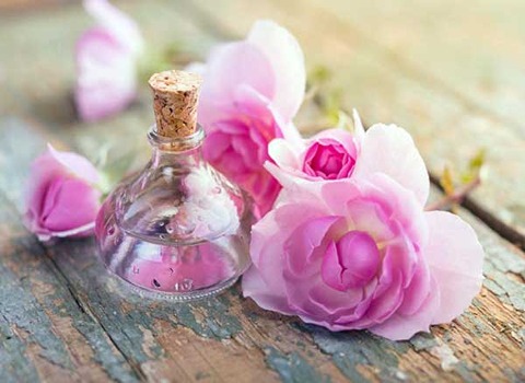 تصویر 2 از قیمت خرید گلاب کاشان درجه یک + فروش ویژه