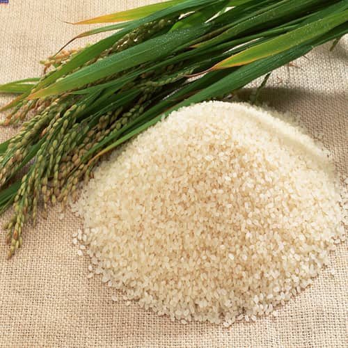 تصویر 3 از خرید و قیمت برنج ایرانی نیم دانه + فروش عمده