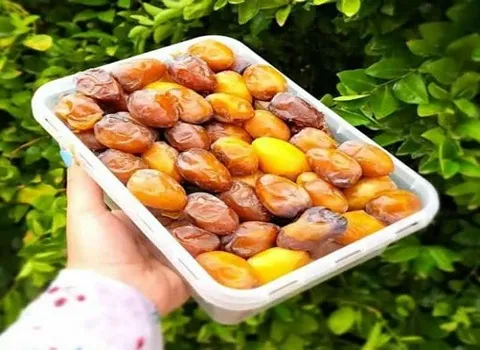 تصویر 3 از قیمت خرما زاهدی صادراتی با کیفیت ارزان + خرید عمده