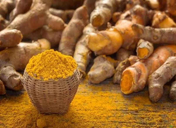 تصویر 2 از خرید زردچوبه آسیاب شده + قیمت فروش استثنایی