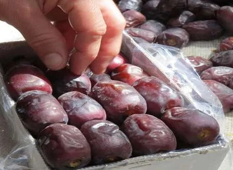 تصویر 2 از قیمت خرید خرما مضافتی سه ردیفه عمده به صرفه و ارزان