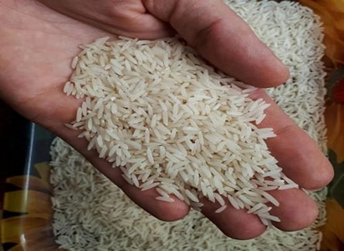 تصویر 4 از خرید برنج فجر گرگان + قیمت فروش استثنایی